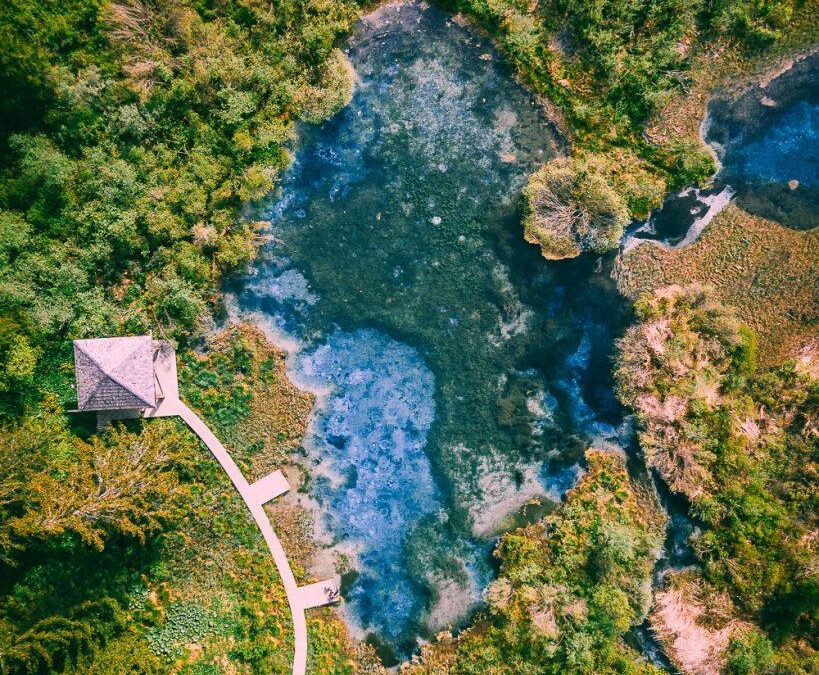 Rezerwat przyrody Zelenci